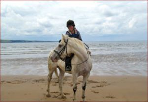 Daly's Equestrian Centre